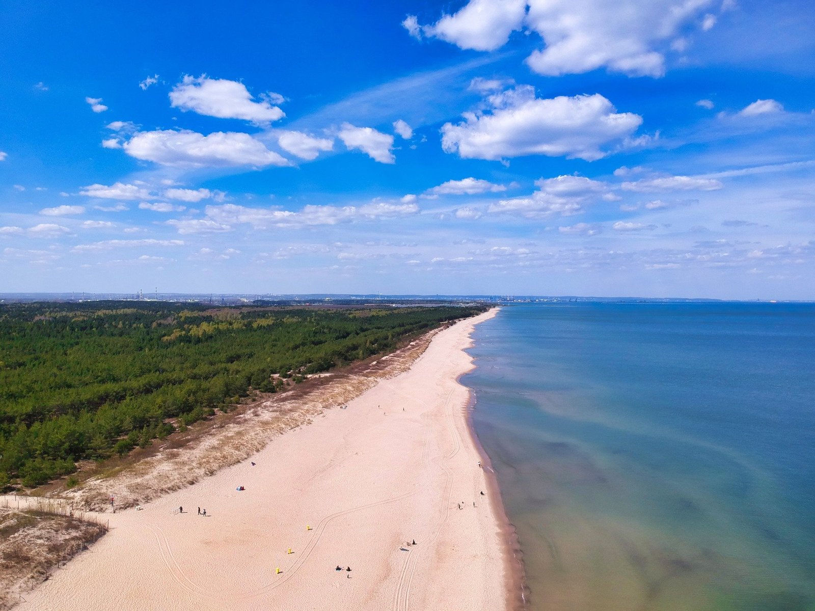  Mewia Łacha Nature Reserve: A Sanctuary of Avian Wonders and Coastal Serenity on Sobieszewska Island