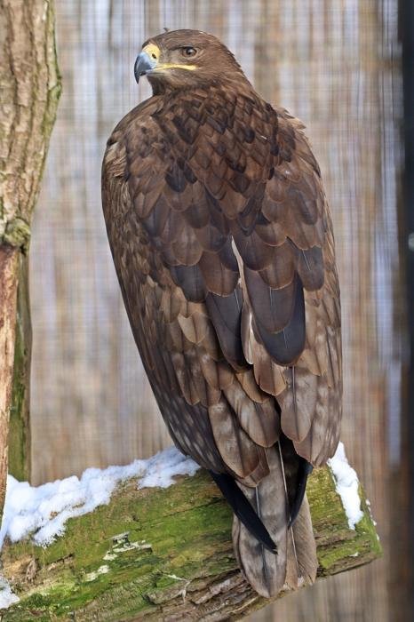 foto. Gdański Ogród Zoologiczny