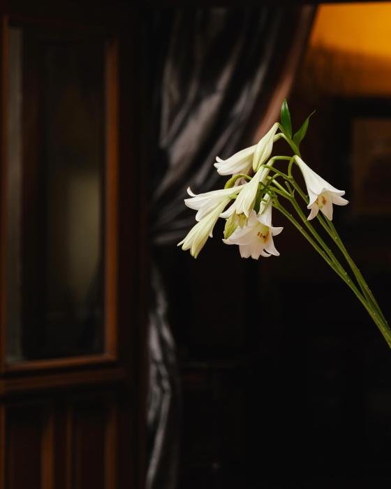 foto. Hotel Copernicus